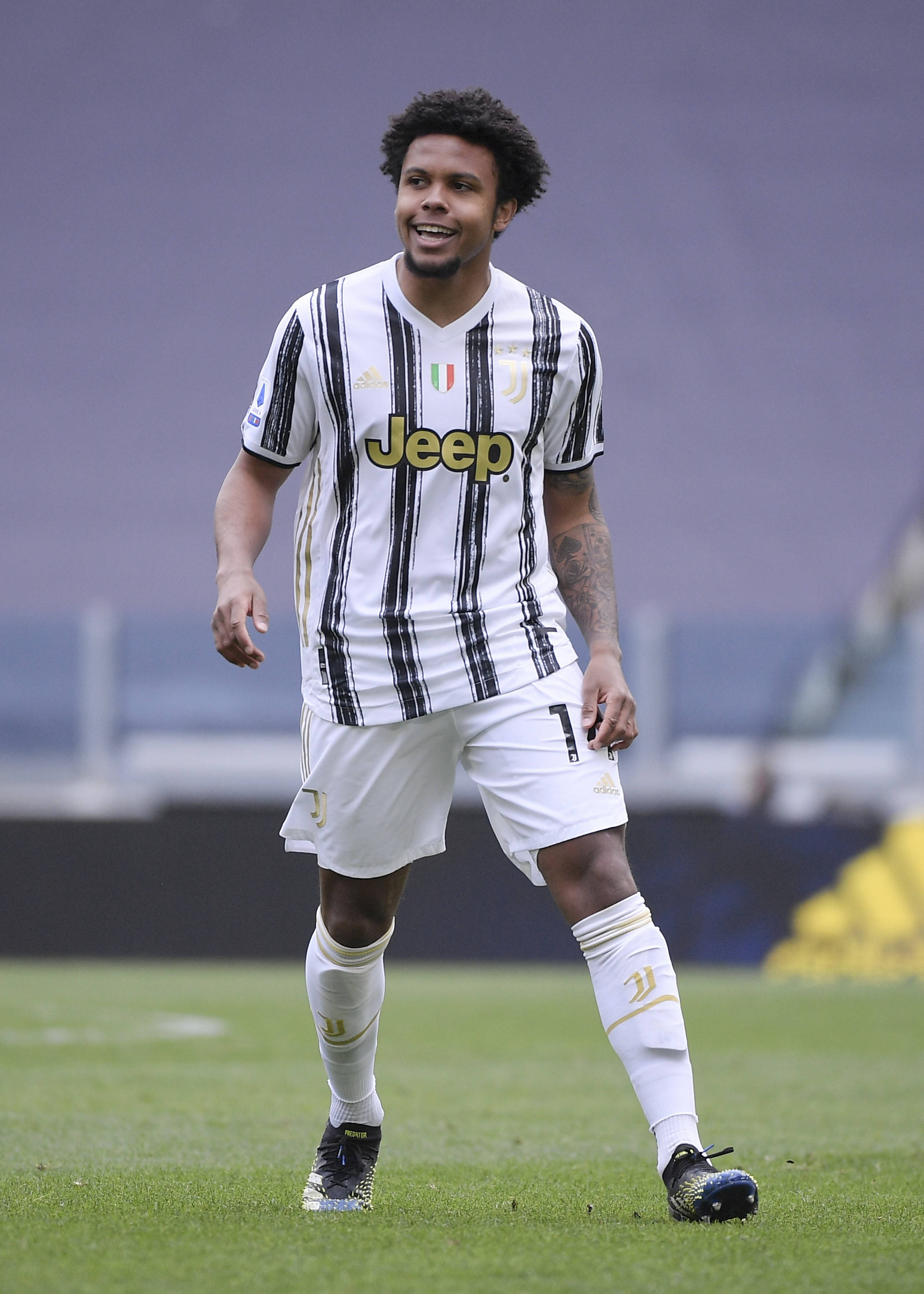 不仅丰富了 不仅丰富了